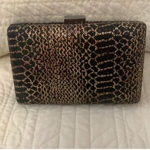 Tasha, beautiful evening clutch/crossbody (Chain Inside)
